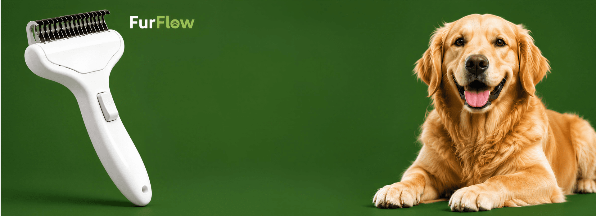 Banner background
